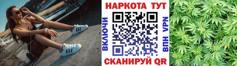 Купить закладку Галлюциногенные грибы  ЭКСТАЗИ  ГАШИШ  Каннабис  Кокаин  Alpha PVP  Амфетамин  Меф  Правдинск