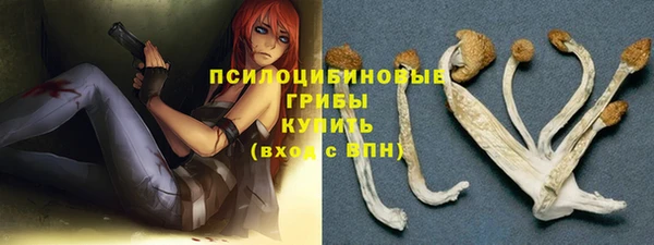 ALPHA-PVP Гусев